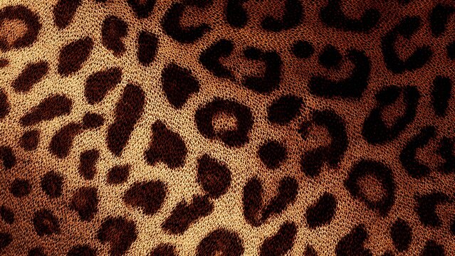 Abstract leopard pattern texture 