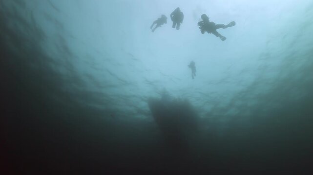 Divers glide through the mystical Barents Sea, exploring the silent, icy underwater landscapes of the Arctic bottom. Sunlight pierces the cold northern waters, revealing ethereal beauty.