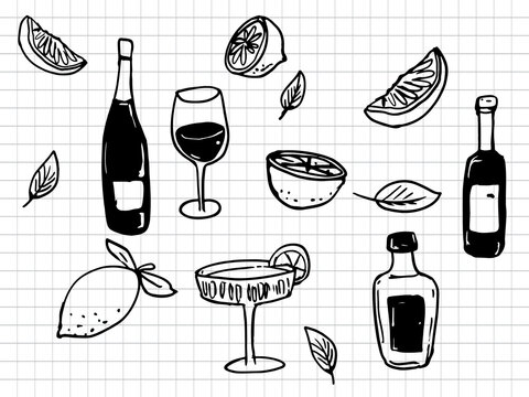 Hand Drawn Wine and Cocktail Doodle Set, Sketchy Citrus Lemons and Leaves Illustration for Bar Menu and Summer Drinks Design