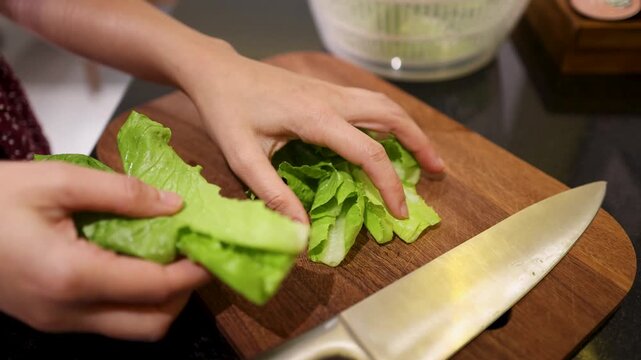 Caucasian Woman Chef Chopping Fresh Green Lettuce on Wooden Cutting Board