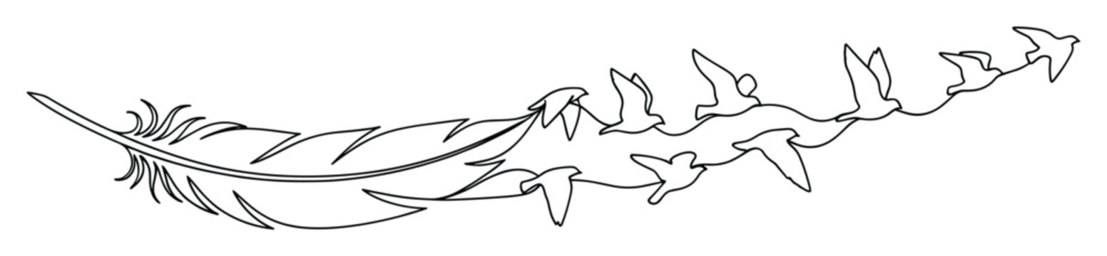 Linear graphic of a feather morphing into a flock of birds, representing flight and spiritual liberation.