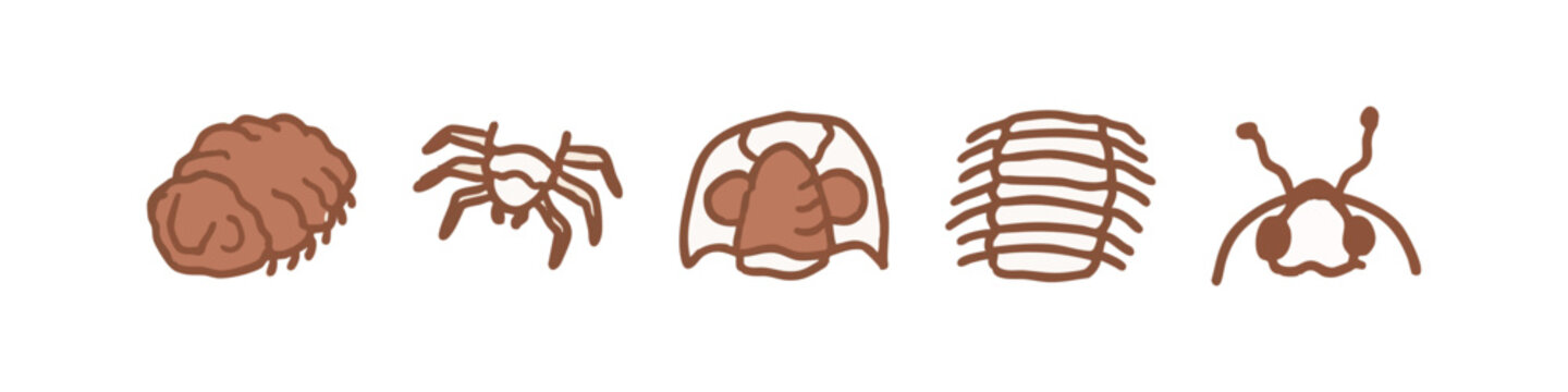 Entomology and biology insect icons including spider, trilobite and woodlouse