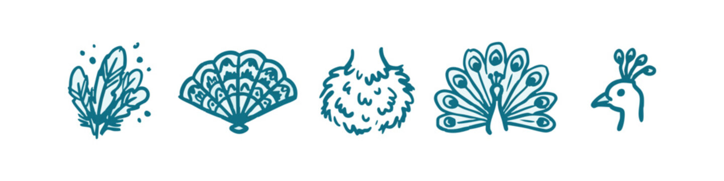 Hand-drawn icons: foliage, fan, fluffy ball, peacock feathers, peacock head