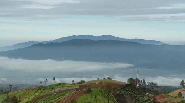 Detailed view of lush terraced farming on a steep mountain slope under a misty morning sky in Indonesia.