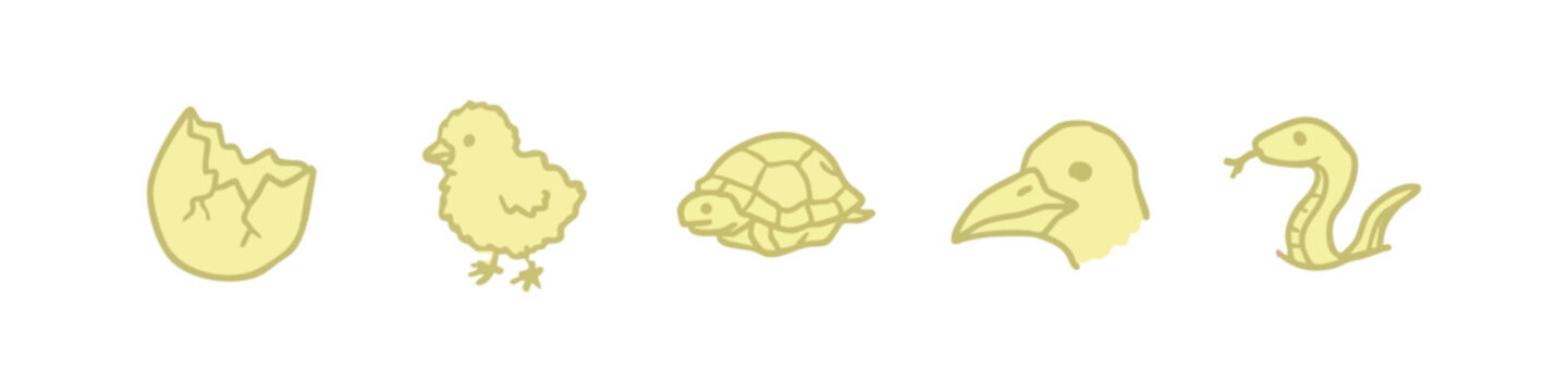 Life Cycle Icons: Egg, Chick, Turtle, Bird Head, Snake