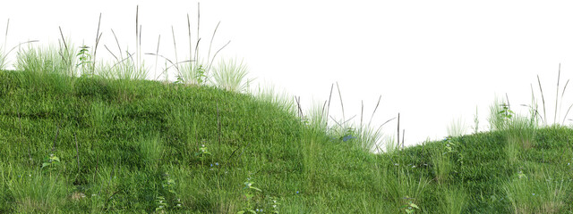 Lush green meadow grass field isolated on transparent background.3d rendering PNG © Natural Form Studio