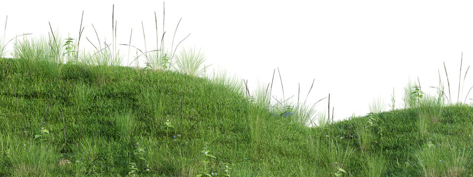 Lush green meadow grass field isolated on transparent background.3d rendering PNG
