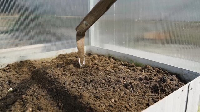 Making furrow rows for seed planting in greenhouse bed close-up slow motion