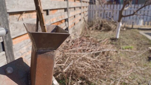 Processing branches in wood chipper close-up. Shredding tree branches after tree pruning