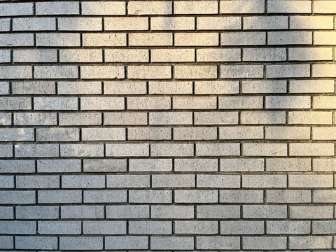 Full frame of a grey brick wall background with warm evening sunlight and tree shadows.