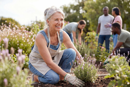 Smiling senior woman planting lavender in a community garden with friends in the background