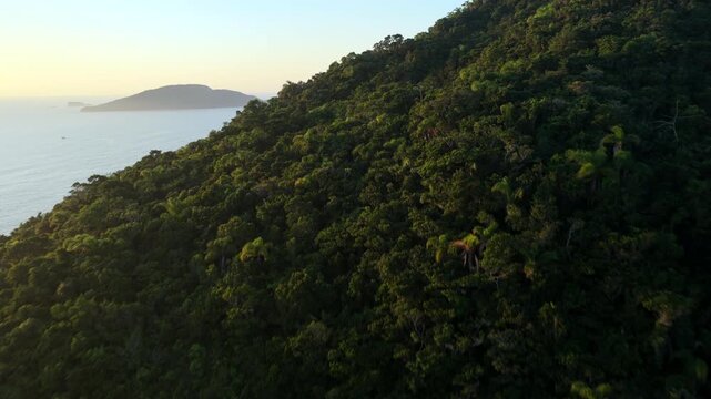 Praia dos Ingleses in Florian&oacute;polis Santa Catarina Brazil on open Atlantic Ocean coast with exposed beach, urban strip, and dense Mata Atl&acirc;ntica on Serra do Mar slopes, drone forward glide reveal
