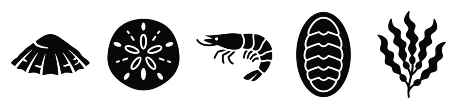 Variety of ocean organisms represented as simple graphic symbols for marine education and water life resources