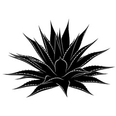 Fototapeta premium Black silhouette of an agave plant against white