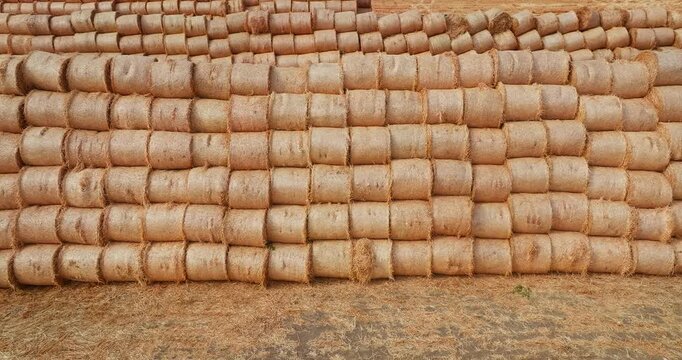 Rows of round straw bales stacked in a field after harvest