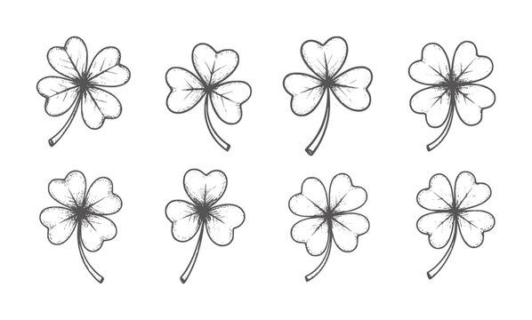Hand drawn four leaf and three leaf clovers white shamrock