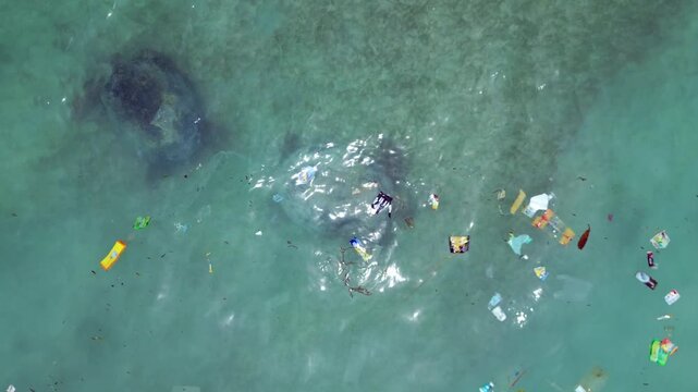 Two sea turtles navigating through significantly polluted ocean water, highlighting marine plastic pollution and environmental impact. Perfect aerial view top down drone view