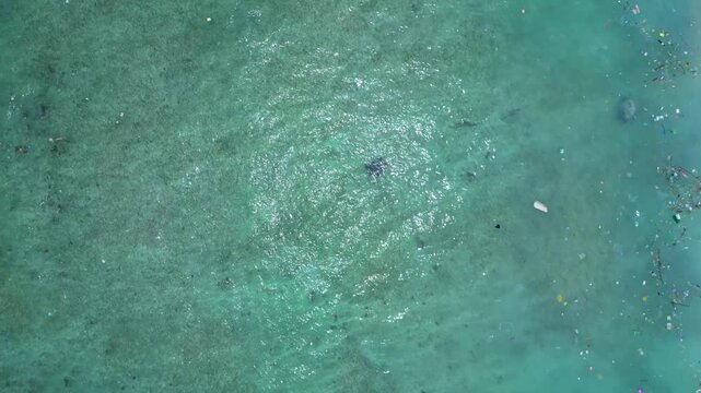 Sea turtle swimming in clear, shallow ocean water polluted by scattered plastic waste, highlighting environmental crisis. Nice aerial view overflight flyover panorama drone