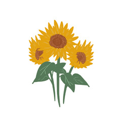 Obraz premium Bright yellow sunflowers bouquet illustration on dark background. Hand-drawn floral vector clip art.