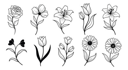 Adobe Illustrator Artwork © Ruma