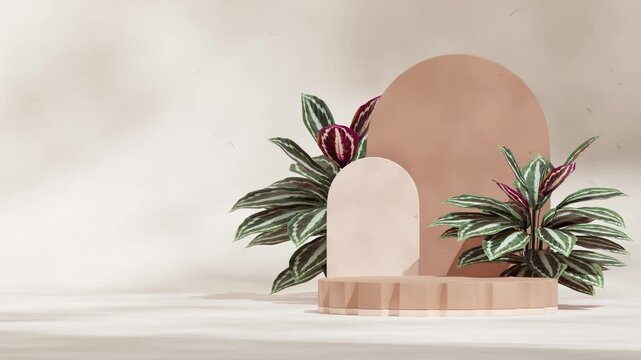 mockup template brown color podium of with looping seamless shadow animation green calathea houseplant, 3d video rendering