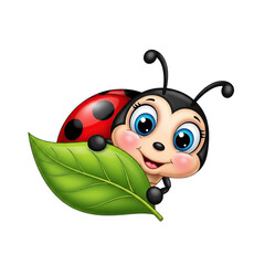 Naklejka premium Cute Ladybug Cartoon Character on Green Leaf Isolated on Transparent Background