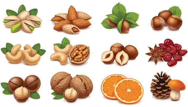 Nuts seeds and dried fruits vector illustration set with almond pistachio hazelnut walnut cashew and orange slices in realistic style