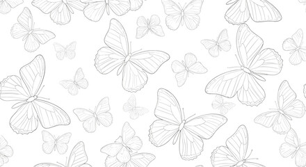 Obraz premium Delicate seamless pattern of butterfly line drawings in a random arrangement for nature inspired designs on white.