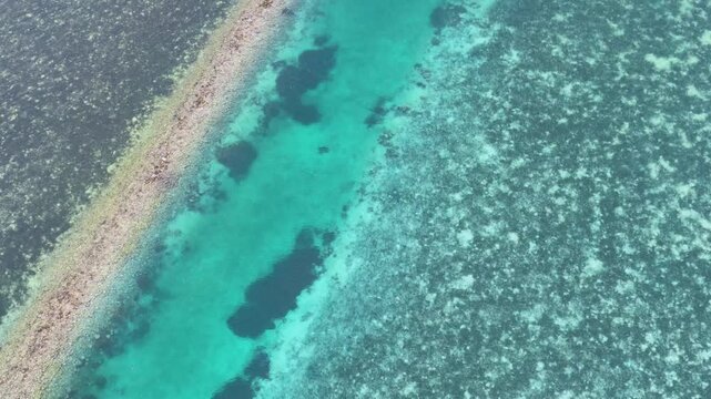 Aerial Drone View of Tropical Coral Reef and Turquoise Water in Palau