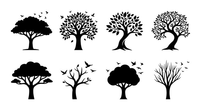 Black tree silhouettes set, 8 nature icons with birds and leaves, minimalist forest plant vector collection, organic oak and maple shapes for logo design
