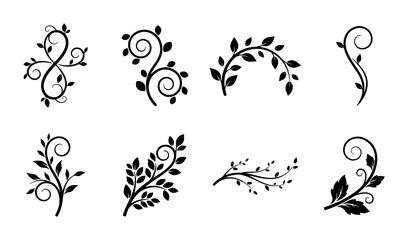 Elegant floral swirl ornaments, set of 8 black decorative vine silhouettes, botanical filigree vector elements for wedding invitations and branding © Mamun