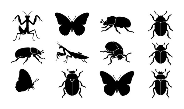 Black insect silhouettes collection, set of 12 bug icons including butterfly and praying mantis, beetle and scarab vector elements for nature design