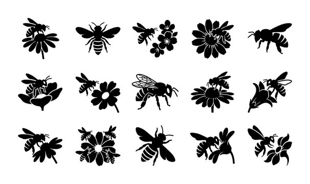 Honey bee silhouette icons set, 15 bumblebee and flower vector elements, black garden insect graphics on white background