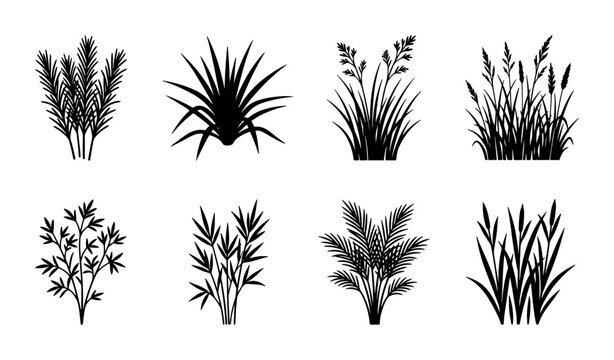 Black grass silhouette collection, set of 8 botanical plant vector elements, wild meadow weeds and field greenery icons for landscape design