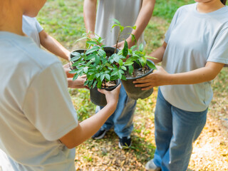 Fototapeta premium Group of volunteers planting trees together in outdoor environmental activity
