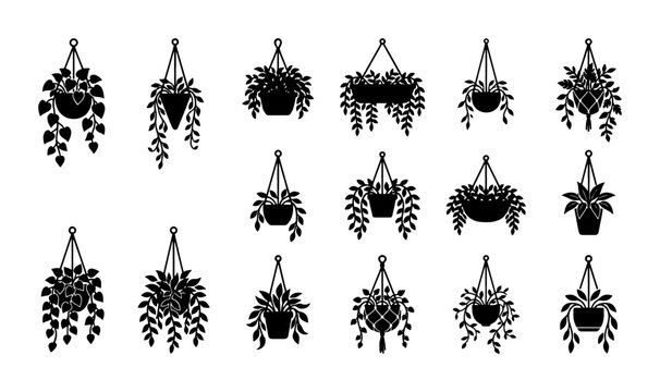 Black silhouette hanging plants vector set, 16 potted houseplant icons, minimalist indoor garden greenery, botanical macrame plant hangers