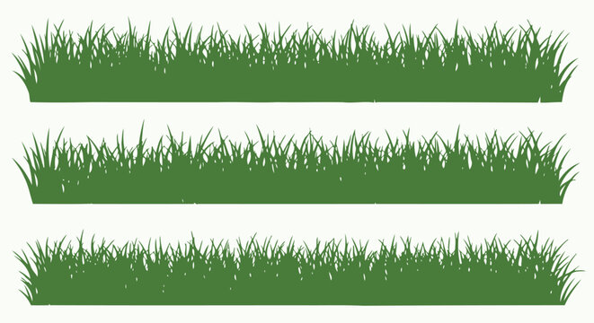 Green grass blades isolated on white.