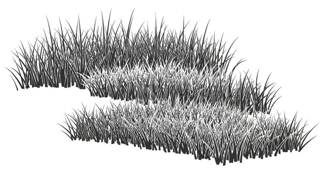 Frozen grass in winter weather conditions.