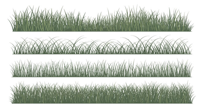 Green grass blades in rows.