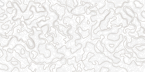 Gray abstract topographic map contour lines on white background texture © MD.HUZZATULLAHISLAM