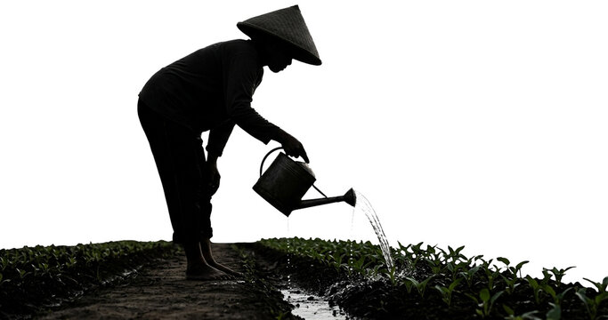 Silhouette of a farmer wearing a hat watering plants