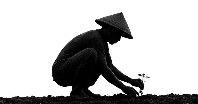 Silhouette of a farmer wearing a hat in a squatting position planting small seeds in the ground with his hands.
