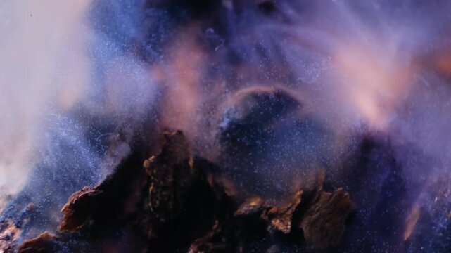 Ultra close up of microscopic aquatic life swarming and feeding on driftwood biofilm layers.