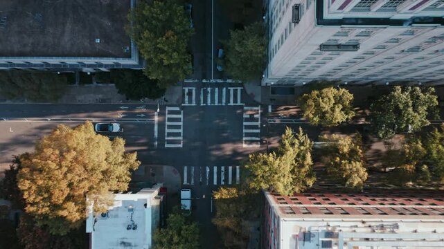 Top down aerial view of intersection in Washington DC showing crosswalks, bike lanes, moving vehicles, buildings, and trees casting shadows across organized urban streets