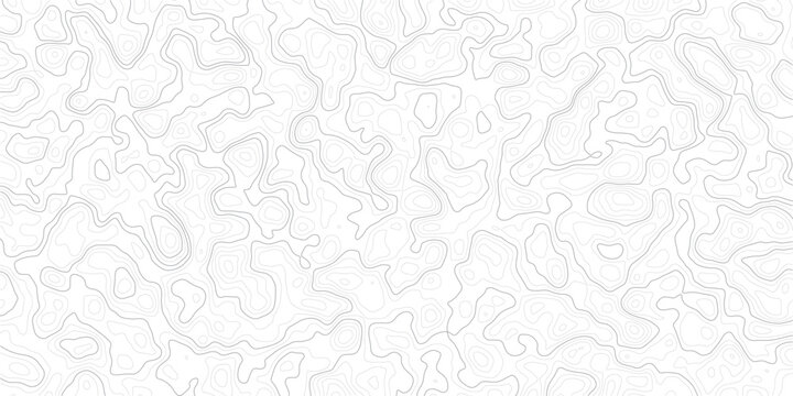 Gray topographic map lines on white background for design and texture