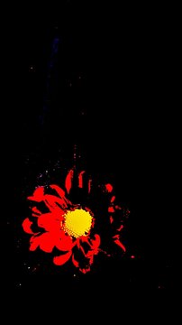 Bold neon red daisy flower with bright yellow center isolated on black background, high-contrast pop art posterized effect, minimalist floral graphic, vibrant abstract nature artwork.