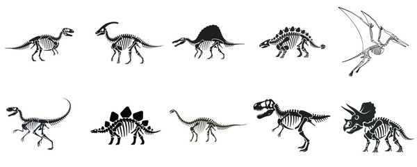 Dinosaur Skeleton Vector Set Prehistoric Fossil Bones Collection Jurassic Anatomy Illustration Isolated Black Silhouette Design Bundle © NineteenVisualStudio