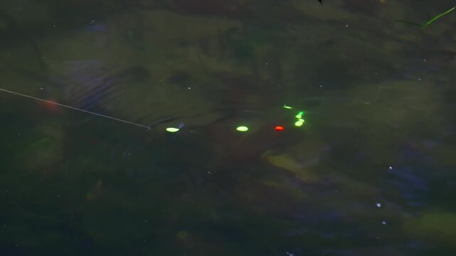 A fishing bobber floats steadily right next to the fish.
