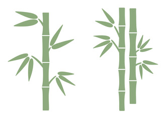 bamboo stalk leaf © 원미 김