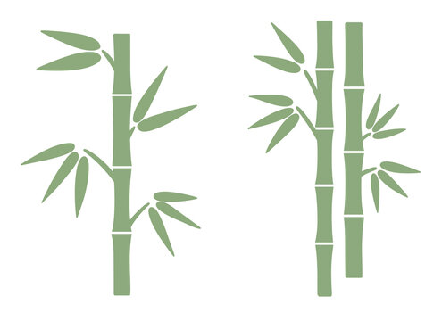 bamboo stalk leaf